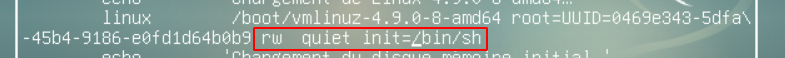 Fichier:Grub boot param linux 2.png